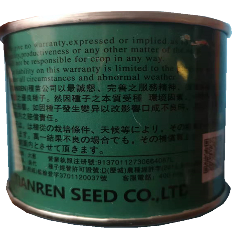 日本钢葱种子美代大葱种子四季可栽晚抽葱籽葱种高产抗倒伏