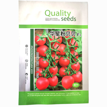 小西红柿种子樱桃番茄圣女果粉贝贝抗TY早熟基地种植