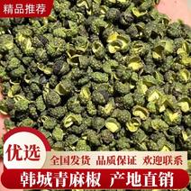 陕西韩城青麻椒，产地直销，大量上市，欢迎大家来采购