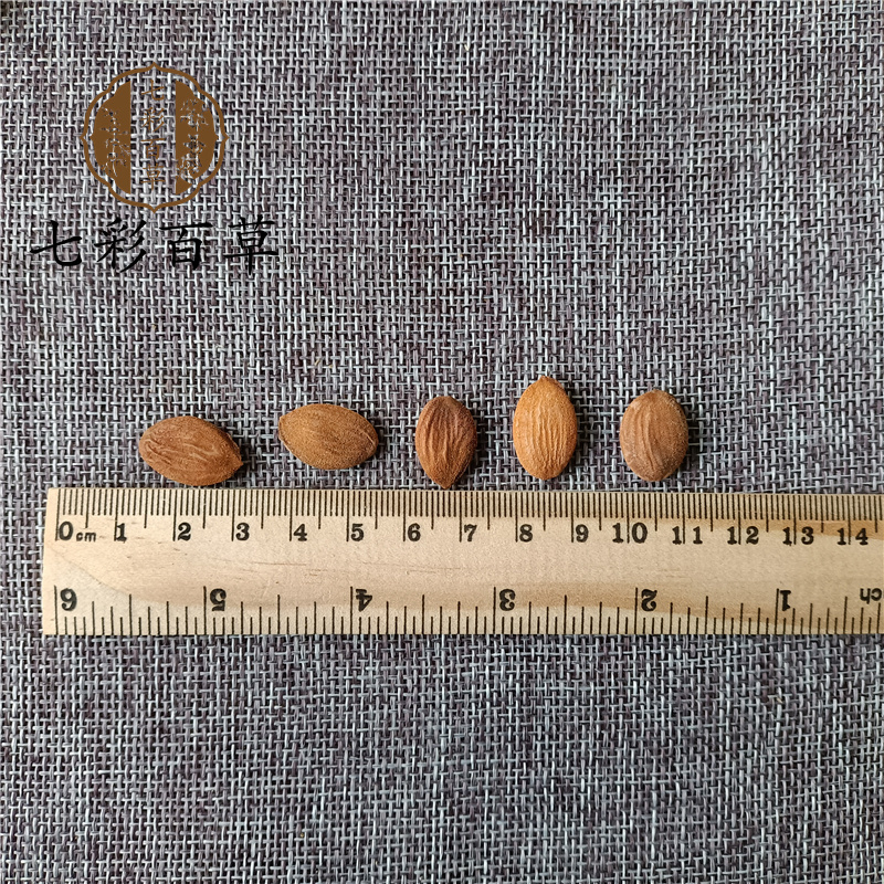 桃仁生桃仁规格齐全产地直供代磨粉中药材批发
