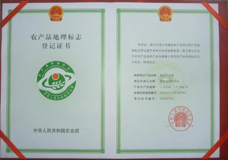 修水县手工采摘双井绿茶当季新茶叶120g/盒