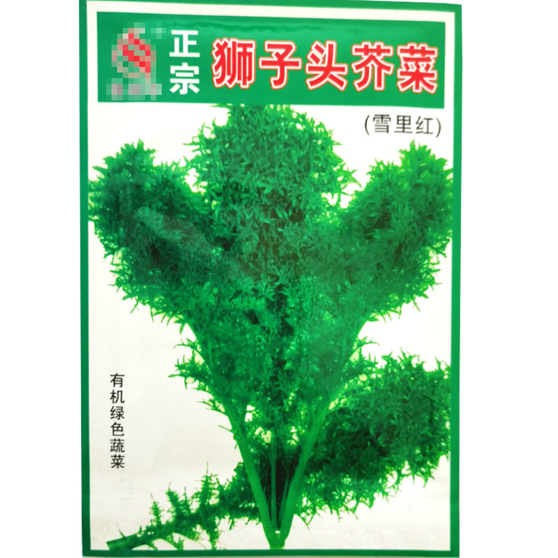 雪里蕻种子狮子头芥菜雪里红腌菜种籽花叶雪菜细叶九头鸟