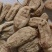 【推荐】天麻，野生天麻，干货，自然晒干，秦岭山野生。