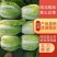【白菜】湖北黄心白菜一手货源质量好价格优支持全国发货