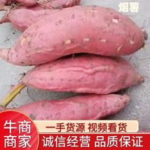 【精选】安徽烟薯25蜜薯精品条型电商货长期代收