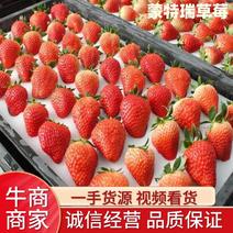 蒙特瑞草莓20~3l0克大量供应货源充足可一件