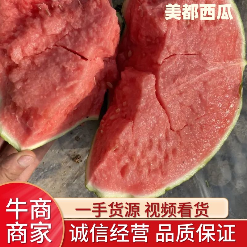 [美都西瓜批发]甘肃平凉泾川县西瓜 1.60元/斤甘肃美都无籽西 _ 一亩田
