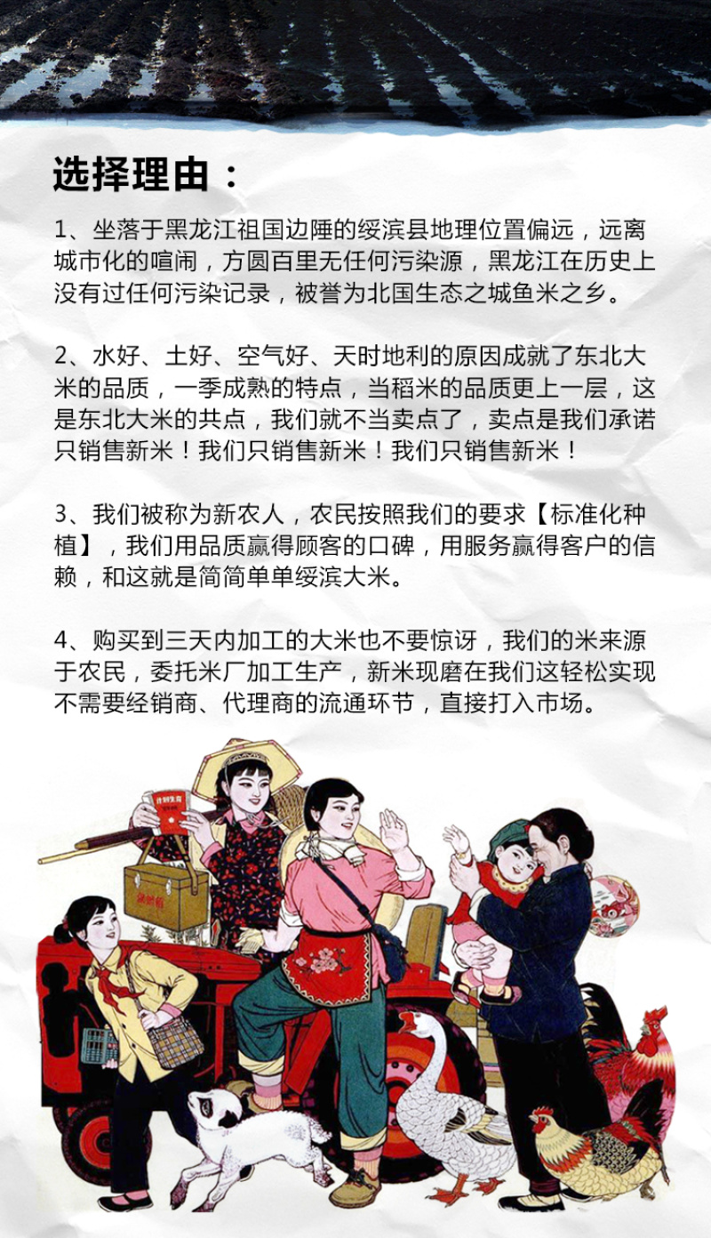 黑龙江绥滨县江水灌溉大米东北长粒香5㎏/袋包邮