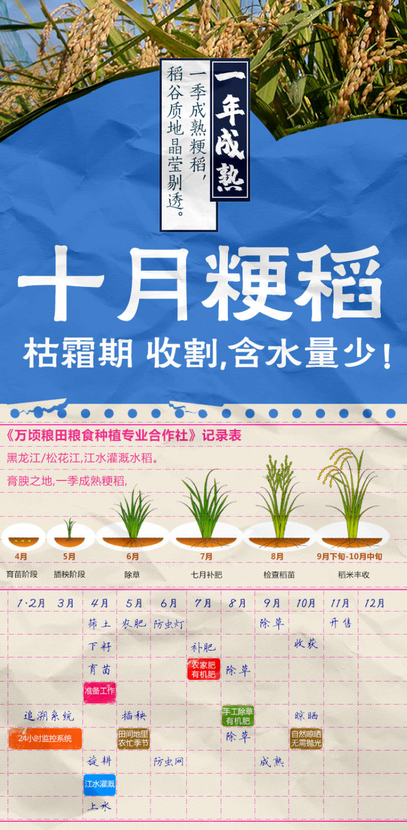 黑龙江绥滨县江水灌溉大米东北珍珠米5㎏/袋包邮