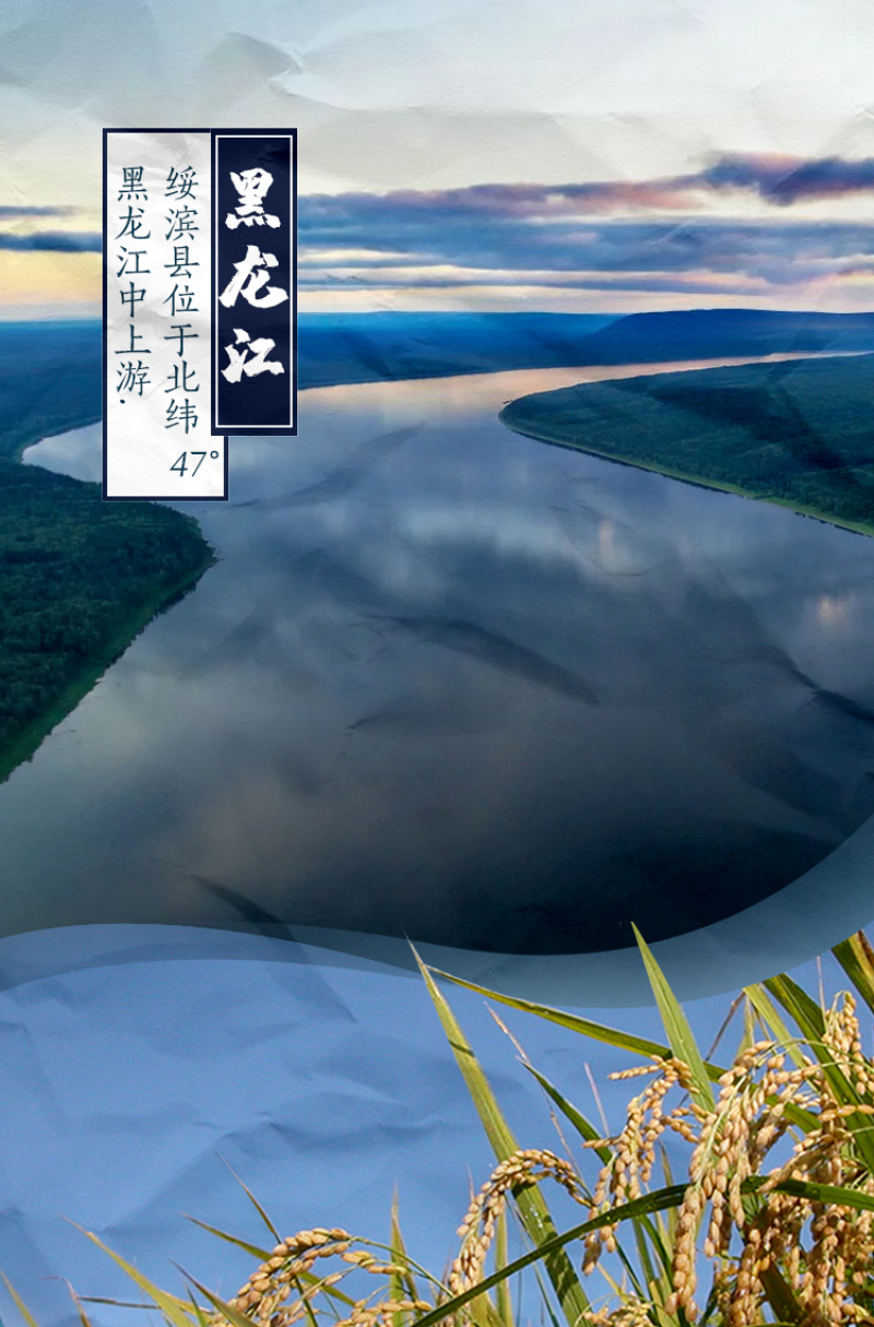绥滨大米礼盒稻花香5㎏/箱装