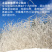绥滨手工漏制土豆粉条5斤/箱包邮