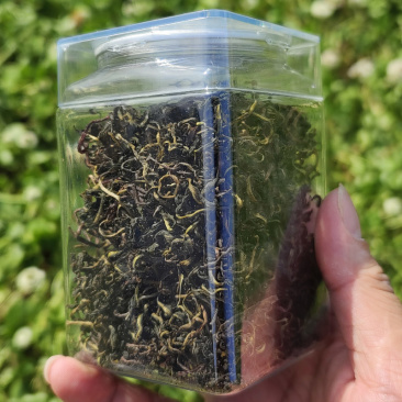 野生蒲公英茶30g蒲公英根100g赠送玫瑰花50g