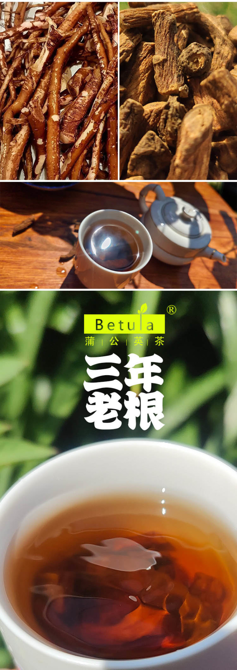 野生蒲公英茶30g蒲公英根100g赠送玫瑰花50g