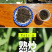 野生蒲公英茶30g蒲公英根100g赠送玫瑰花50g