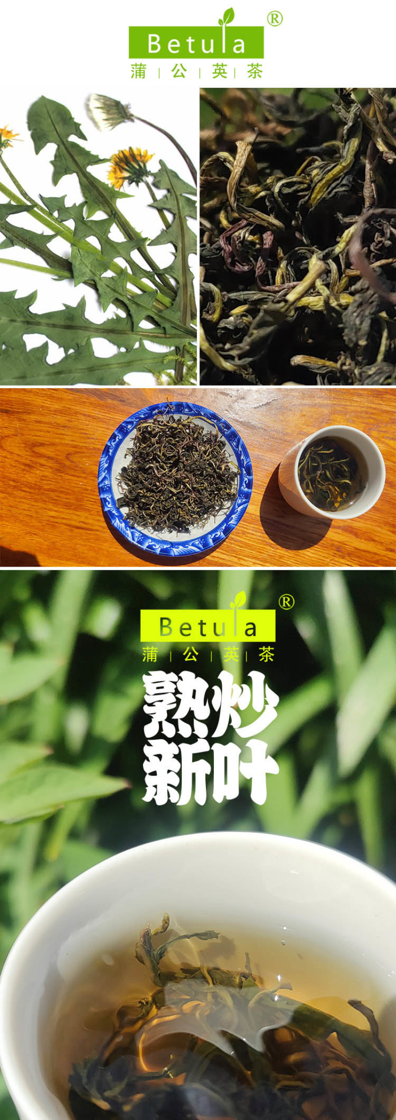 野生蒲公英茶30g蒲公英根100g赠送玫瑰花50g