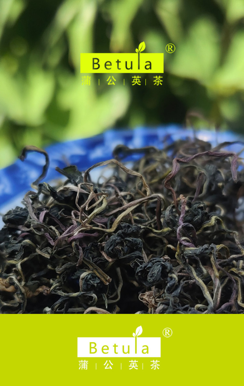 野生蒲公英茶30g蒲公英根100g赠送玫瑰花50g