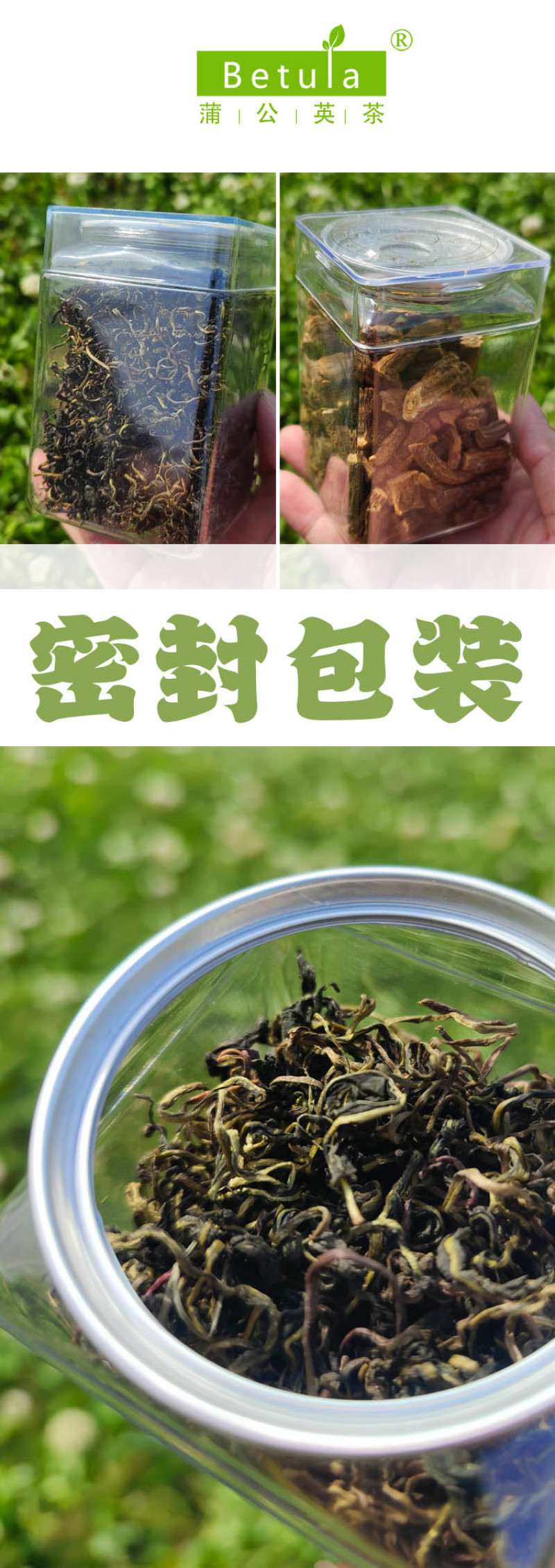野生蒲公英茶30g蒲公英根100g赠送玫瑰花50g