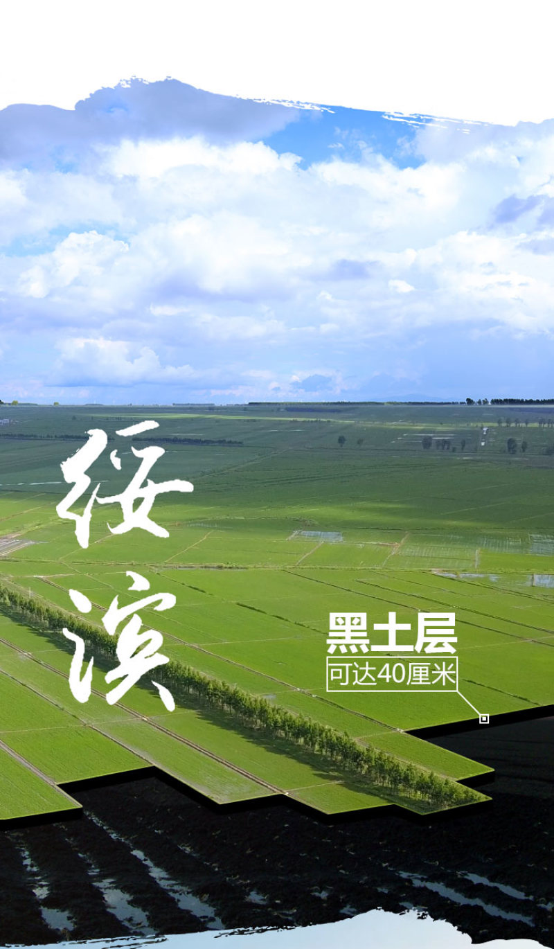 东北黑龙江绥滨县非转基因笨榨笨榨大豆油1.8L