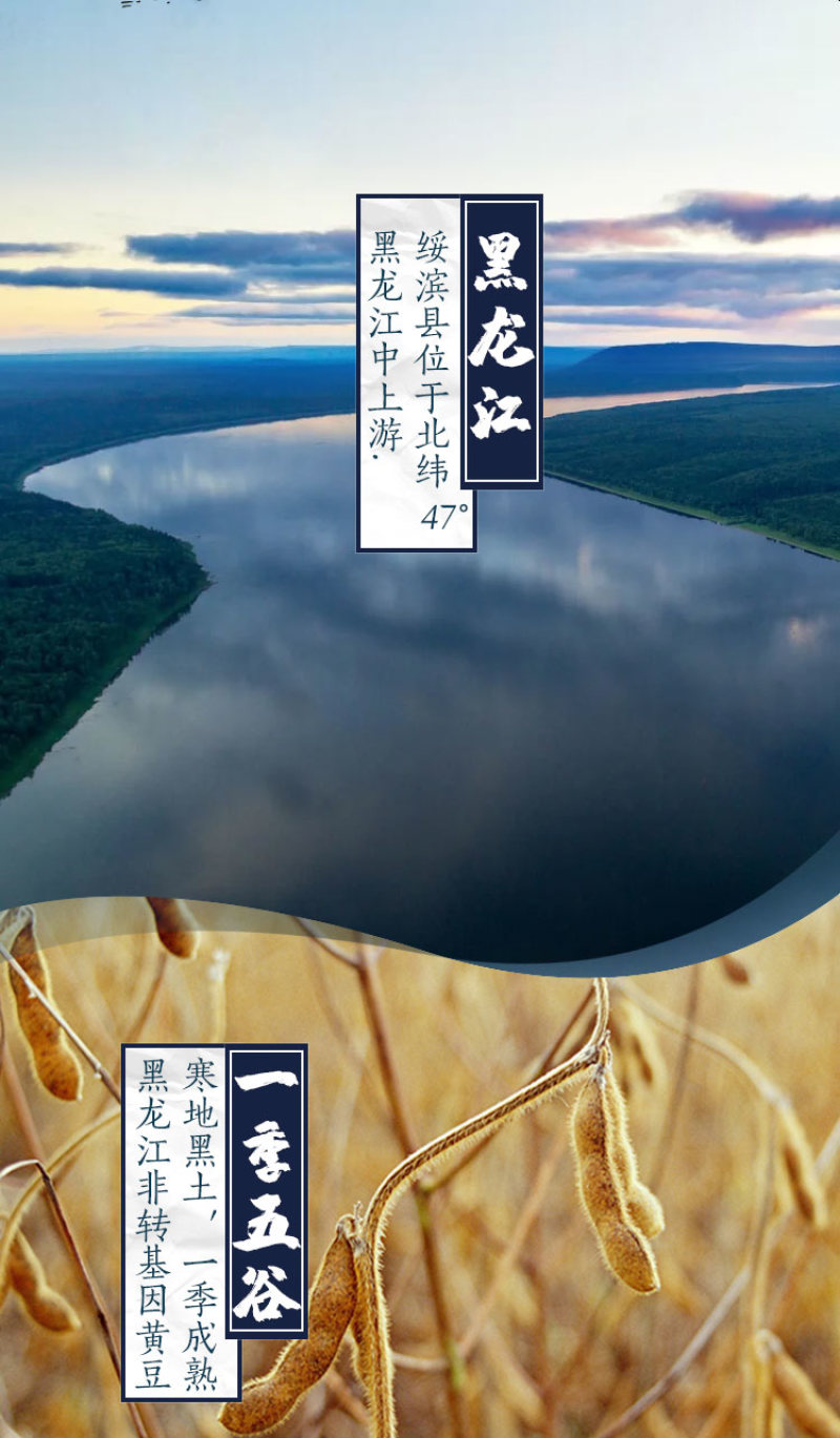 东北黑龙江绥滨县非转基因笨榨笨榨大豆油1.8L