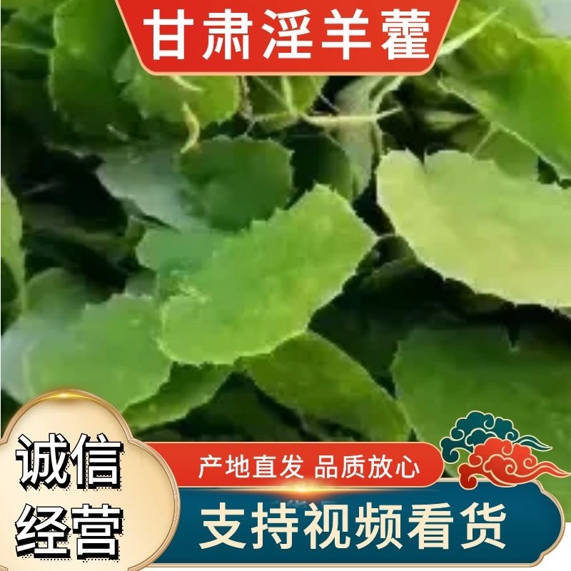 淫羊藿甘肃产地直销，自收自晒，质量保证，一手货源品质优