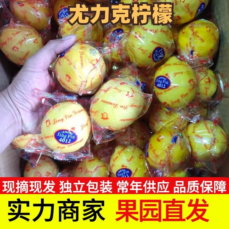 安岳新鲜尤力克柠檬全年供应一二级品质保障批发零售