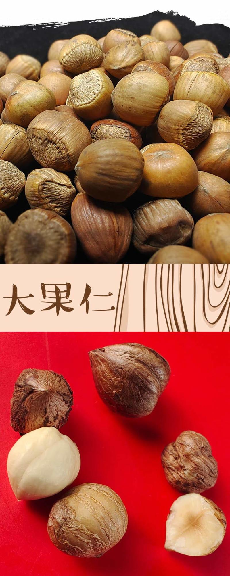 【三花五罗】开口大榛子500g