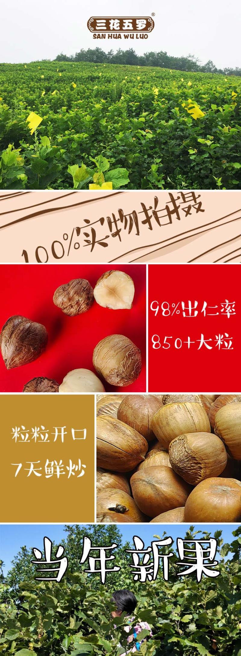 【三花五罗】开口大榛子500g