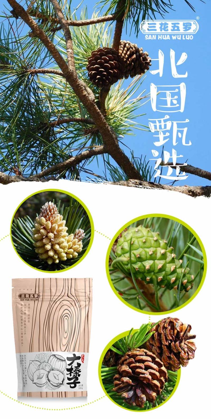 【三花五罗】开口香脆松子500g