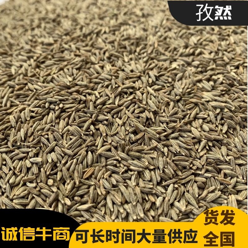 孜然孜然特级孜然，一手货源量大从优，烧烤必备，味浓味香