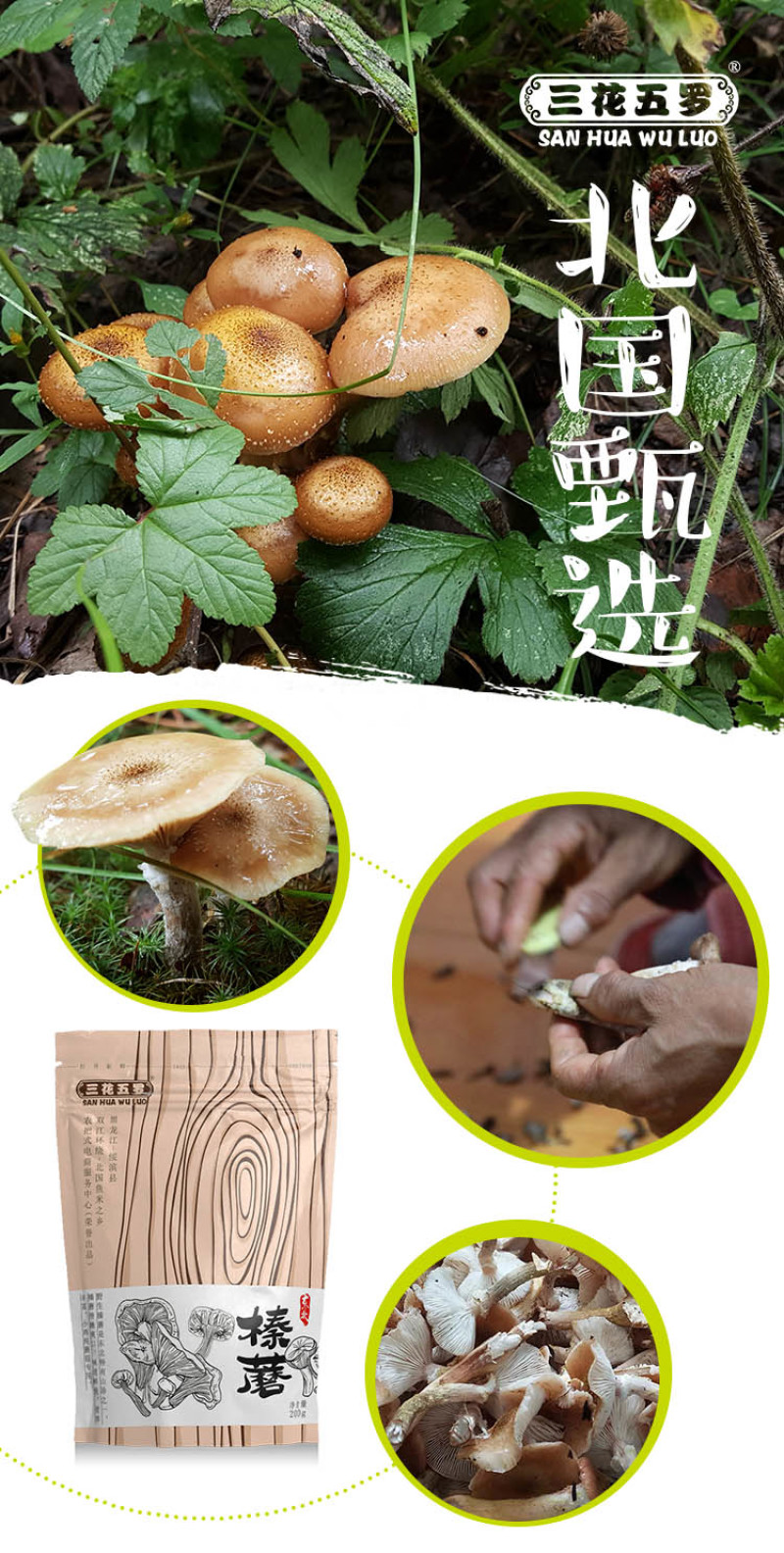东北黑龙江林下干菌野生榛蘑小鸡炖蘑菇专用200g包邮