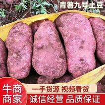 【万亩基地】云南精品红皮土豆青薯九号品质好基地直发价低