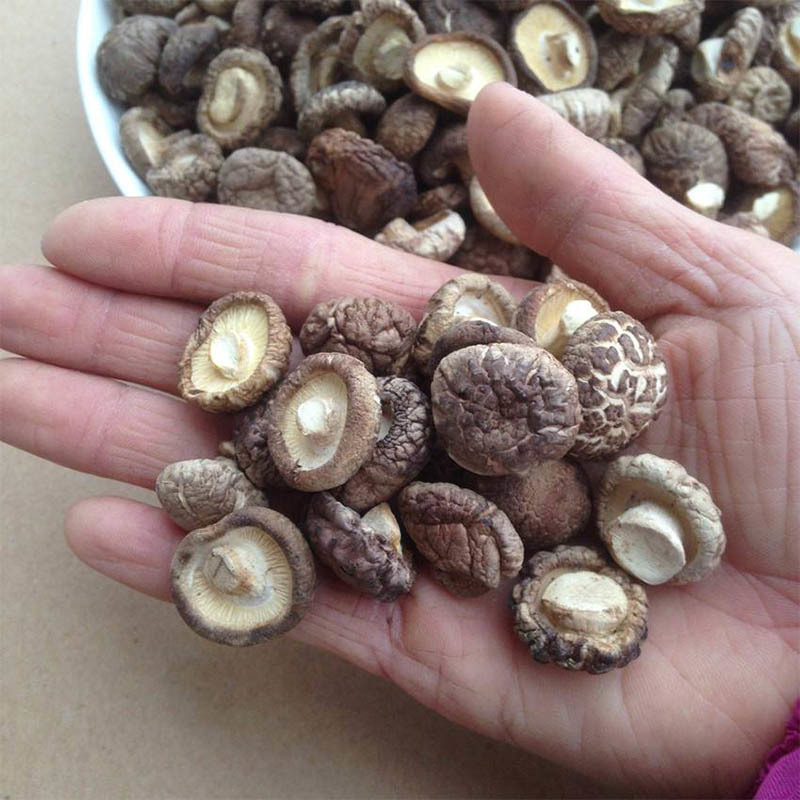 黑龙江绥滨三花五罗小香菇200g