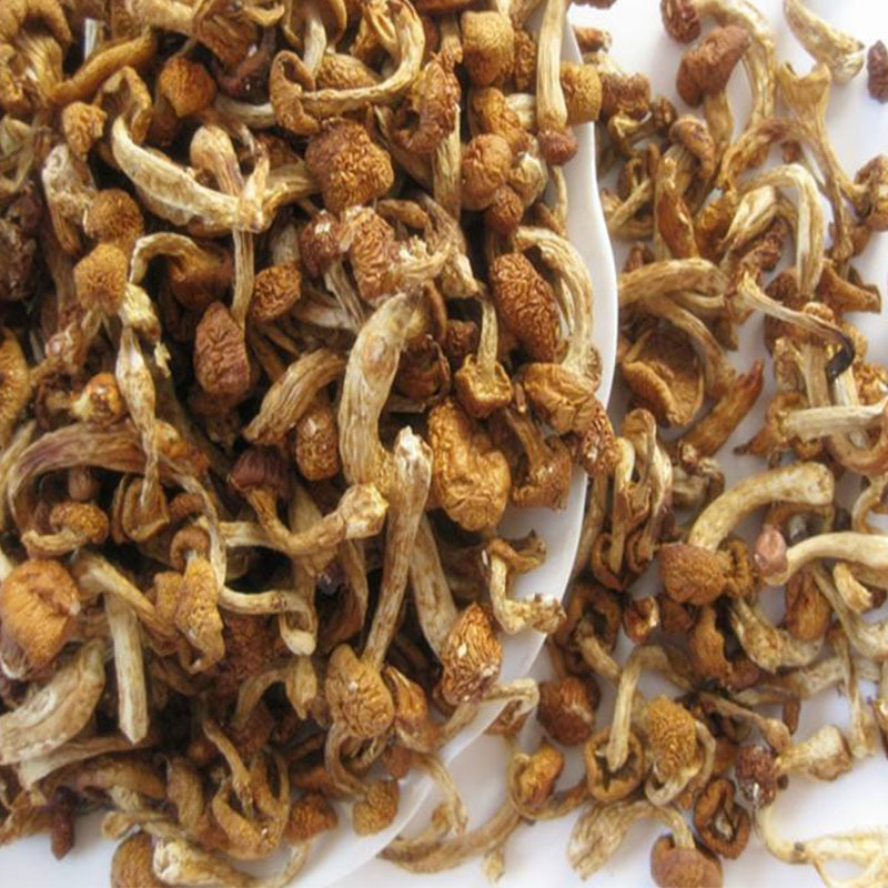 黑龙江绥滨三花五罗小黄蘑200g