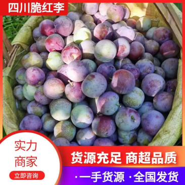 四川雅安汉源脆红李，果园直采，脆甜可口。黄心多汁