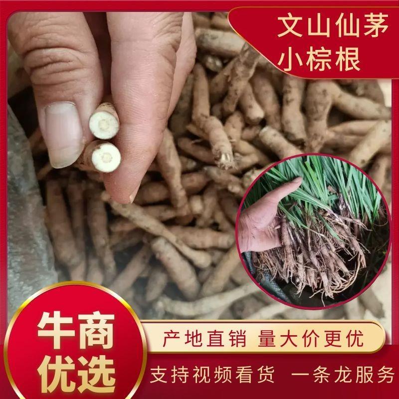 仙茅小棕根小叶品质保证量大从优