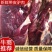 【推荐】新鲜带皮驴肉批发，量大从优，欢迎进店联系