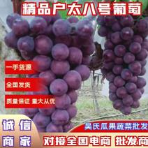露天户太八号葡萄颗粒大色泽红紫甜度适中产地直供量大从优