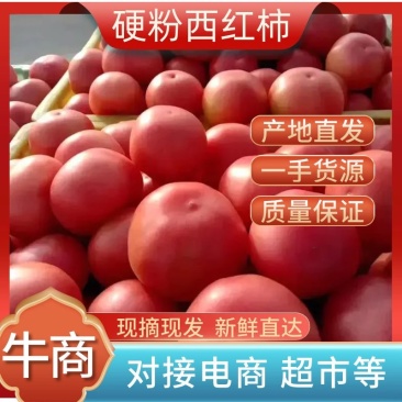 精品硬粉西红柿支持视频看货社区团购电商超市