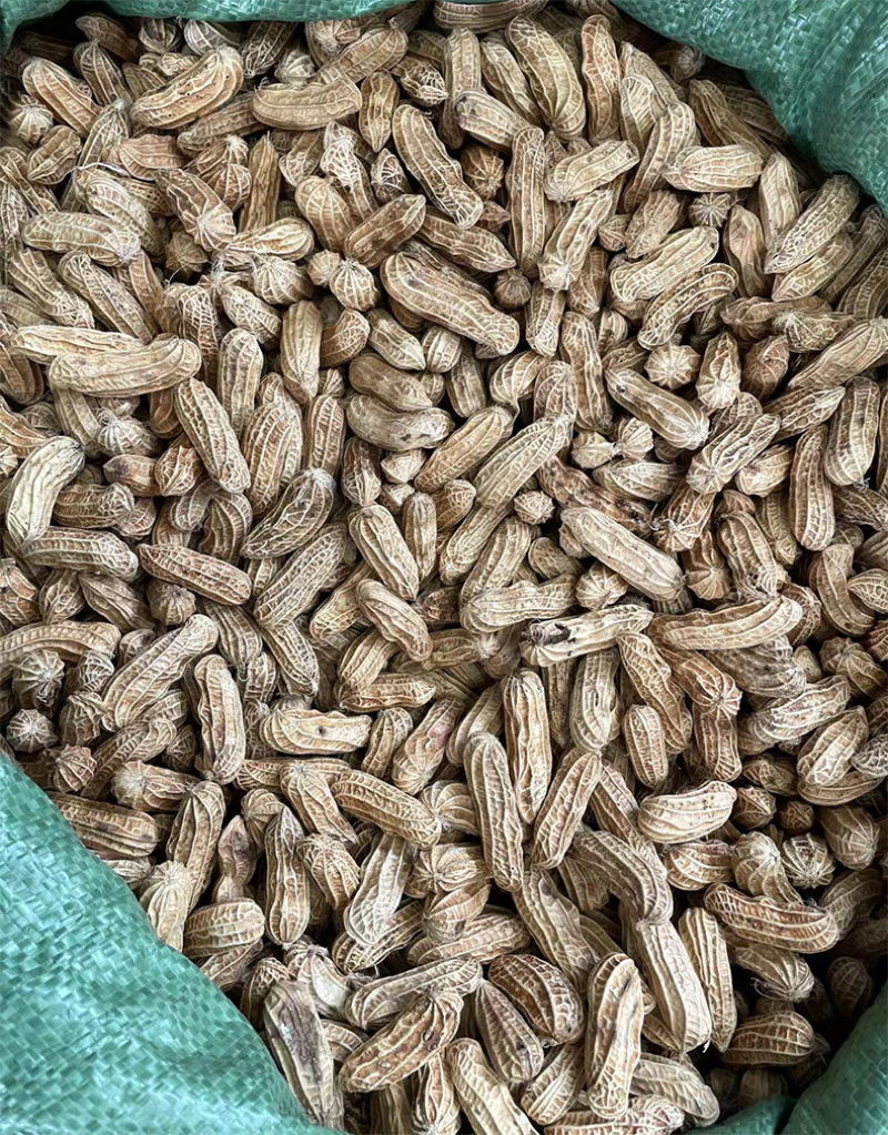 云南七彩花生米大货批发优惠五彩花生米餐饮酒店供应花生仁