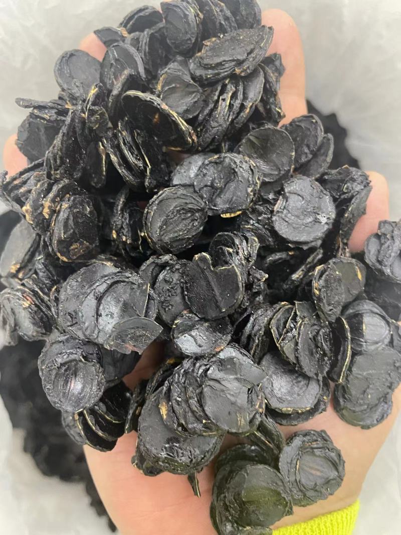 便秘果肉云南纯果肉纯果片腊肠果产地直销便秘果肉