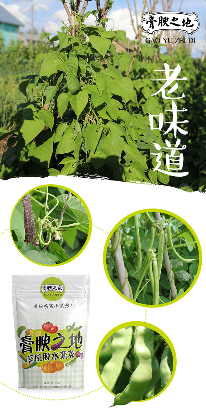 庭院干菜小菜园豆角自然晾晒豆角干250g/袋装