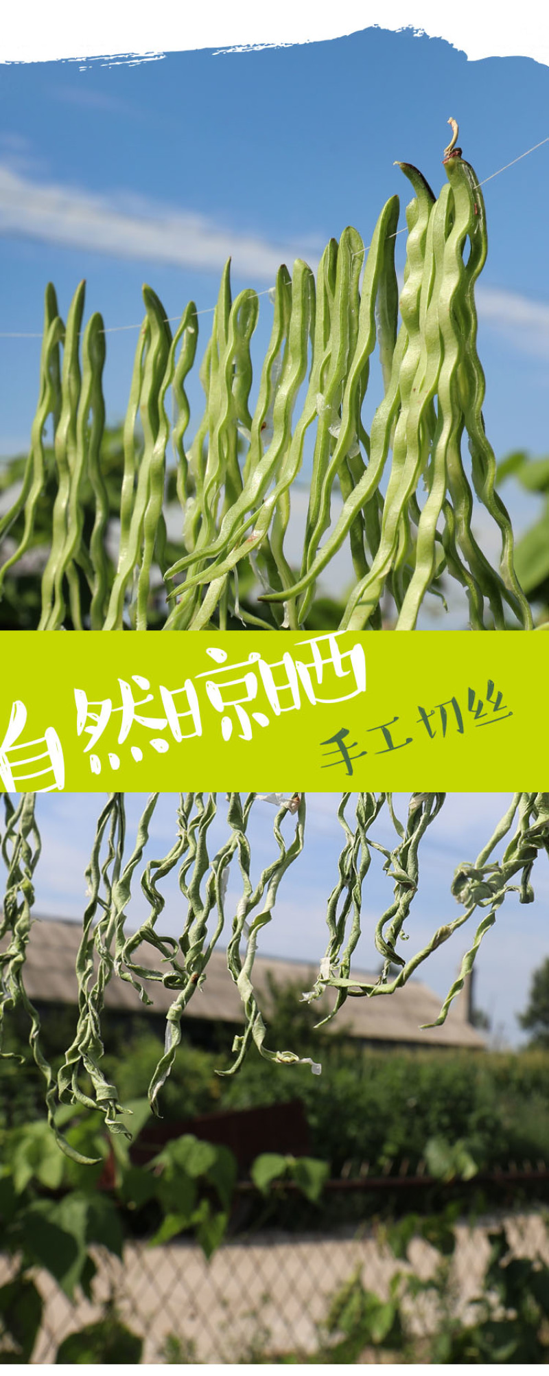 庭院干菜小菜园豆角自然晾晒豆角干250g/袋装