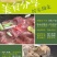 庭院干菜小菜园土豆自然晾晒土豆干500g/袋装