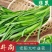 韭菜大量上市，现割现发，货源充足，欢迎采购