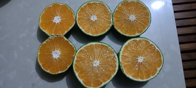 资兴市清江蜜桔，一手货源，量大从优，诚信经营，欢迎电话联系