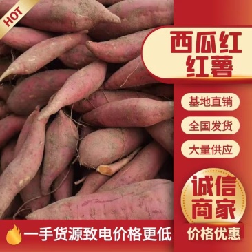 西瓜红红薯，基地直供，批发商，超市电商前置仓，可视频看货