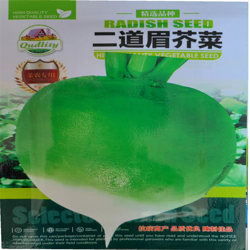 二道眉芥菜种子耐热耐旱耐寒辣疙瘩种子秋季播大头菜种子高产