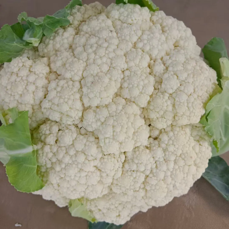 品质松花菜菜花湖北菜花品质保证量大从优