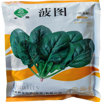 中蔬菠图菠菜种子秋冬耐抽红根菠菜种子冬季圆叶菠菜种子中熟