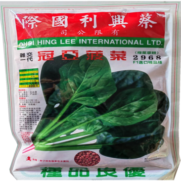丹麦进口菠菜种子春秋冠亚菠菜种子大圆叶耐寒越冬抗病菠菜种